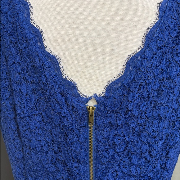 Adrianna Papell Cobalt Blue Lace Cocktail Dress | Size 18W - Picture 5 of 9
